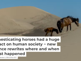 Horses supported travel, communication, agriculture and warfare across much of the ancient world. Wolfgang Kaehler/LightRocket via Getty Images